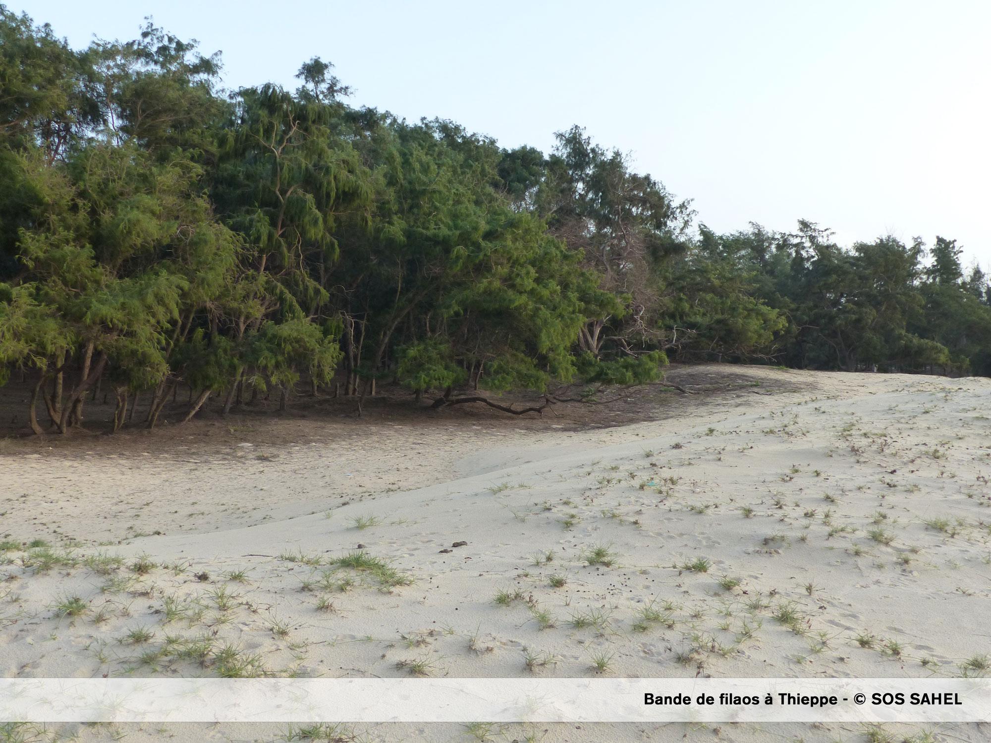 Official launch of the International Research Network RESET_GMV : Science for the new vision of the Great Green Wall
