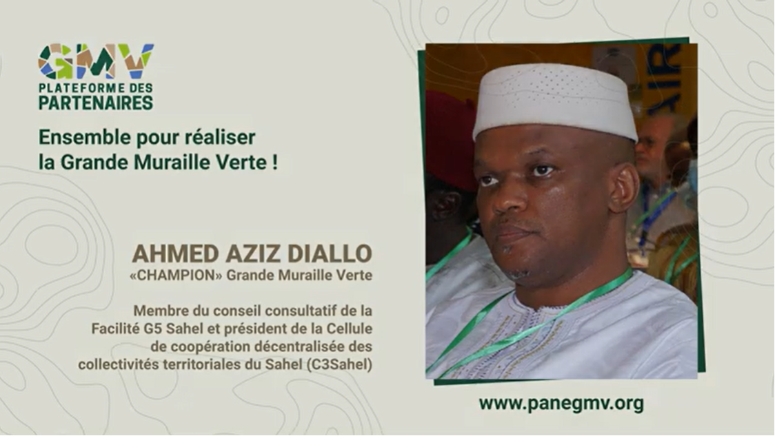 Ahmed Aziz Diallo - Membre du conseil consultatif de la Facilité G5 Sahel et président de la C3Sahel